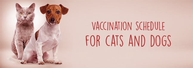 VACCINATION SCHEDULE FOR CATS AND DOGS